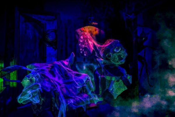 Перформанс Нейропсихоз