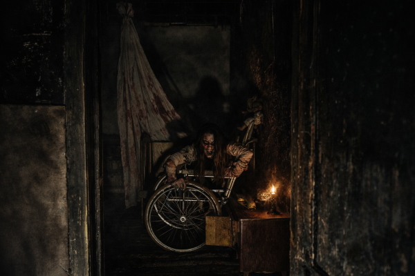 Перформанс Insane Paranoid